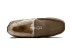 Ascot Olive 