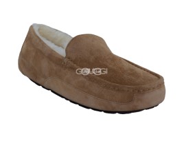 Ascot Chestnut