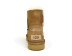 Mini Bailey Logo Strap Suede Chestnut