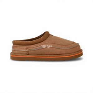 Men Tasman Cali Wave Chestnut/Orange Soda
