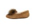 Dakota Pom Pom Chestnut
