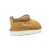 X NEIGHBORHOOD TASMAN - Chestnut