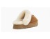 DISQUETTE - Chestnut
