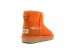 Mini California Poppy