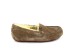 Ansley Olive