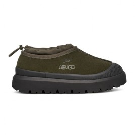 Tasman Weather Hybrid - Forest Night